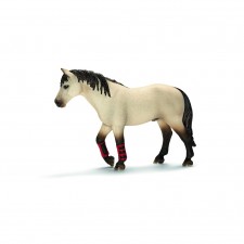 Caballo de instrucción