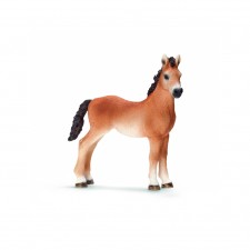Potro Tennessee Walker