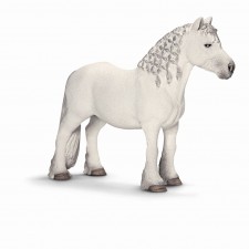 Semental poni Fell