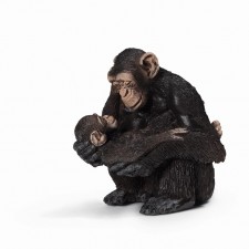 Chimpancé hembra con cría